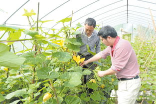 田間傳技